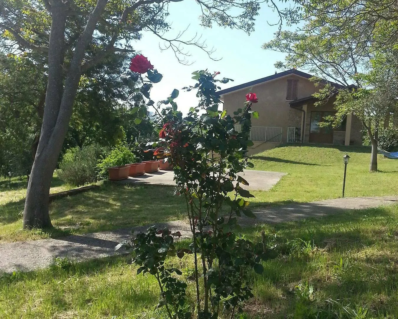 Amore Di Maremma location